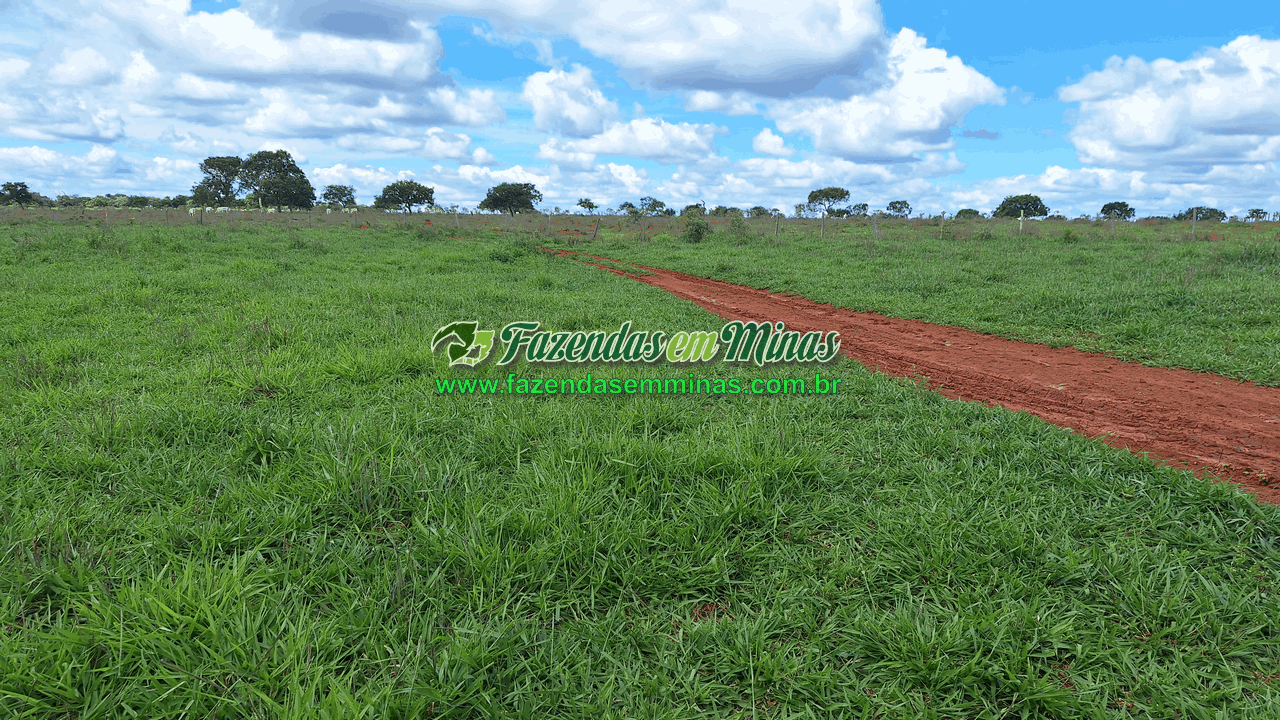 Cód.338         R$ 4.500.000,00