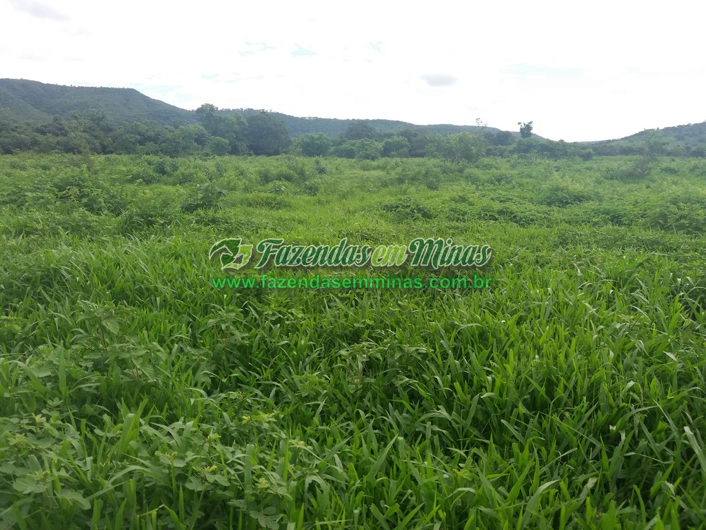 Cód.484       R$ 3.000.000,00