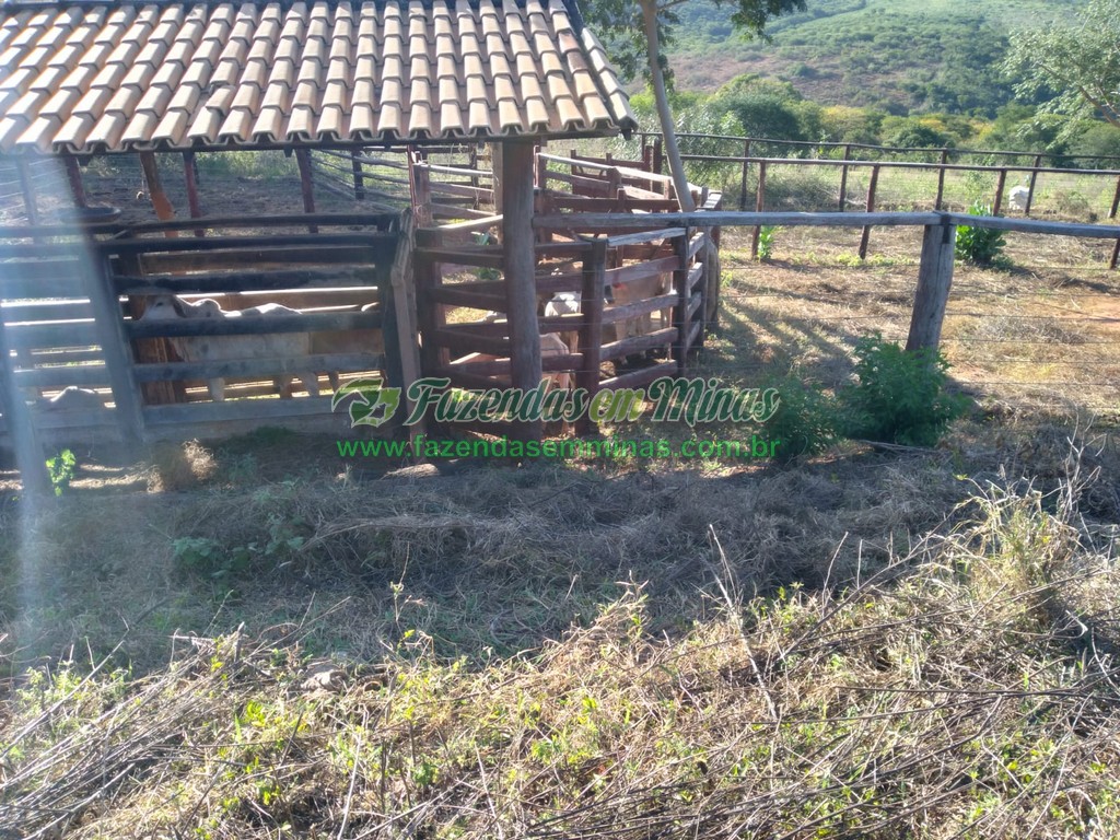 Cód. 490  R$ 2.300.000,00