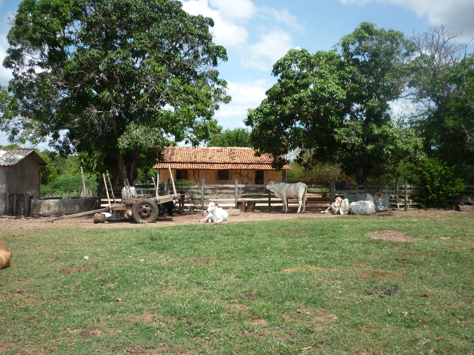 Cód.555           R$ 1.550.000,00