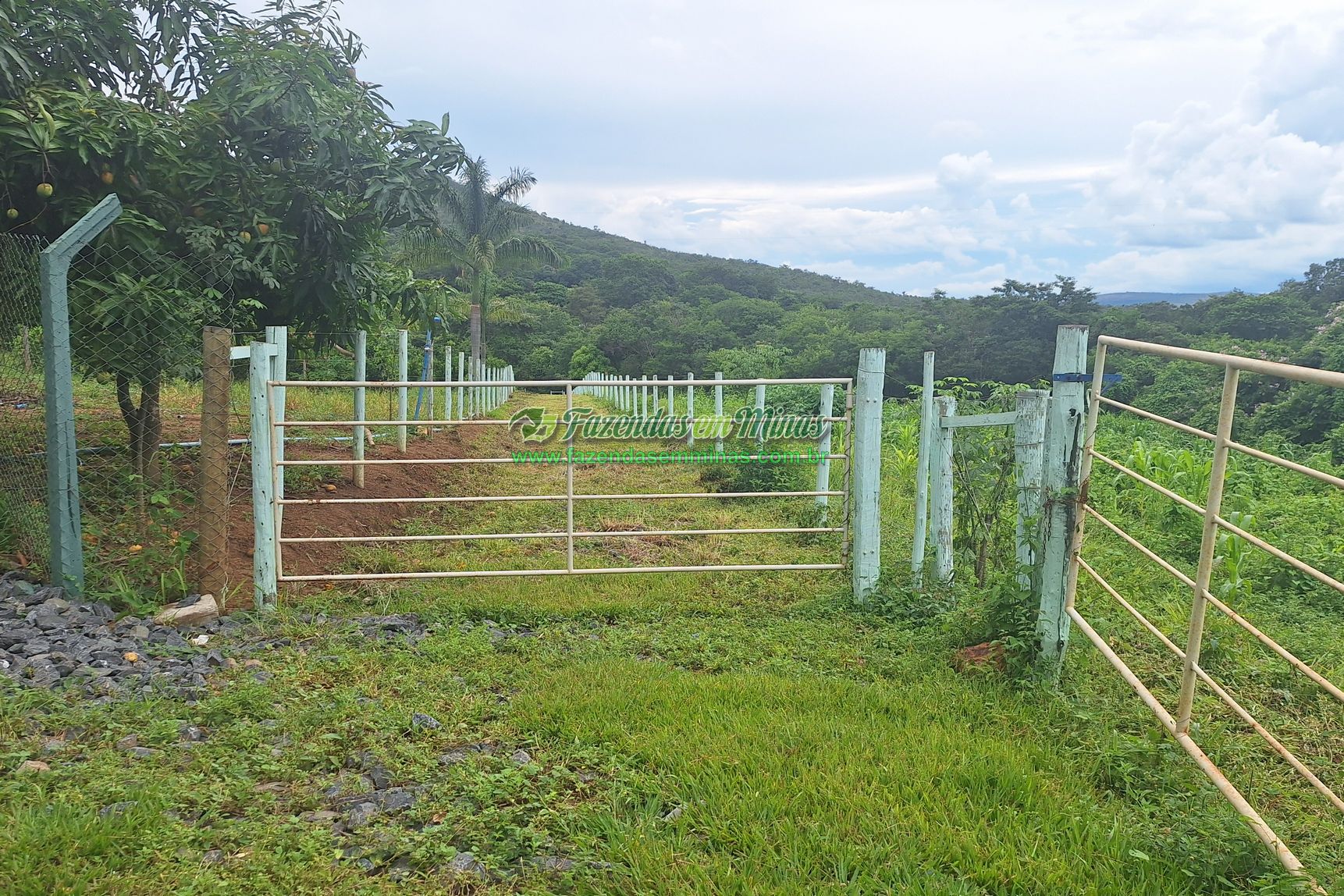 Cód. 560            R$ 1.100.000,00