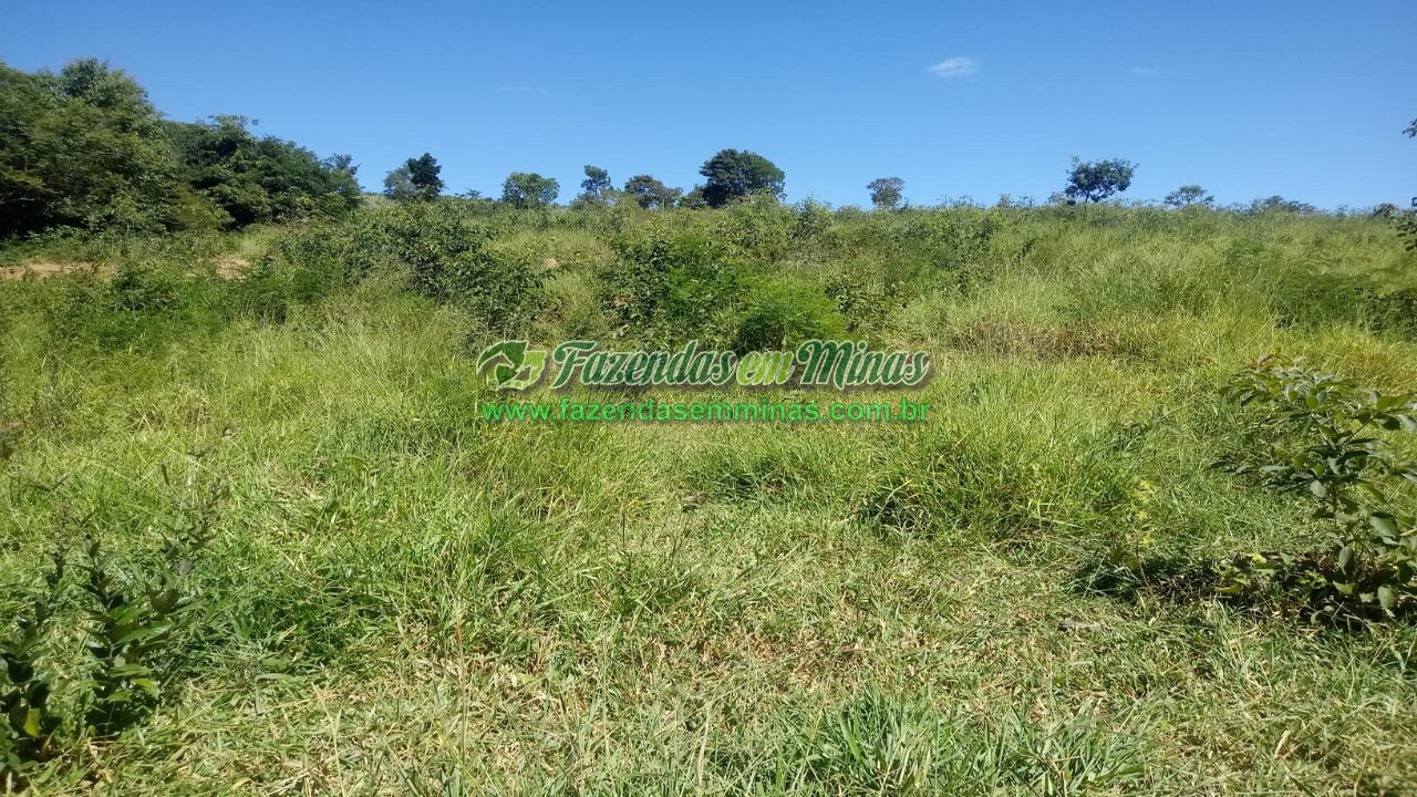 Cód.564         R$ 12.000.000,00