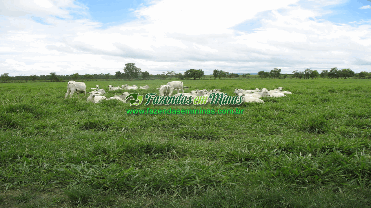 Cód.584      R$ 100.000.000,00