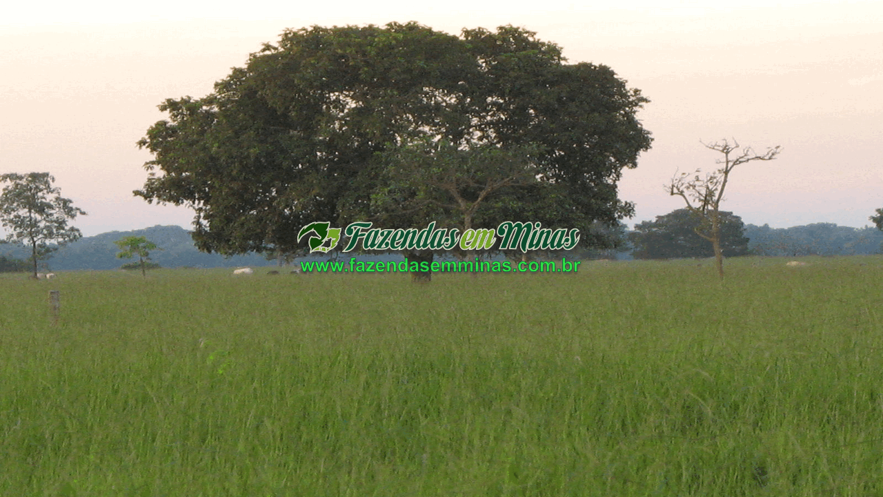 Cód.600         R$65.000.000,00