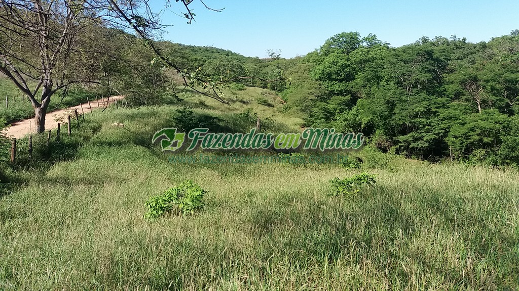 Fazenda 20 km do asfalto 