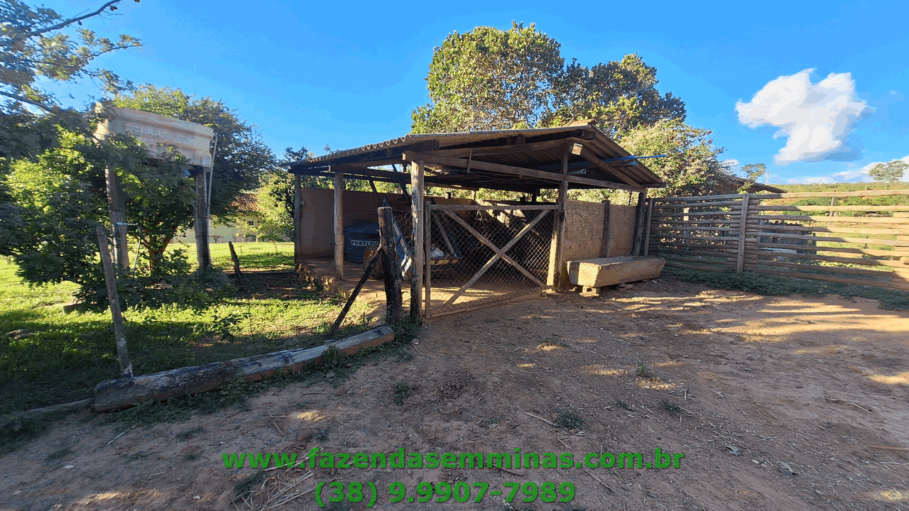 Sítio 4 hectares     R$ 600.000,00