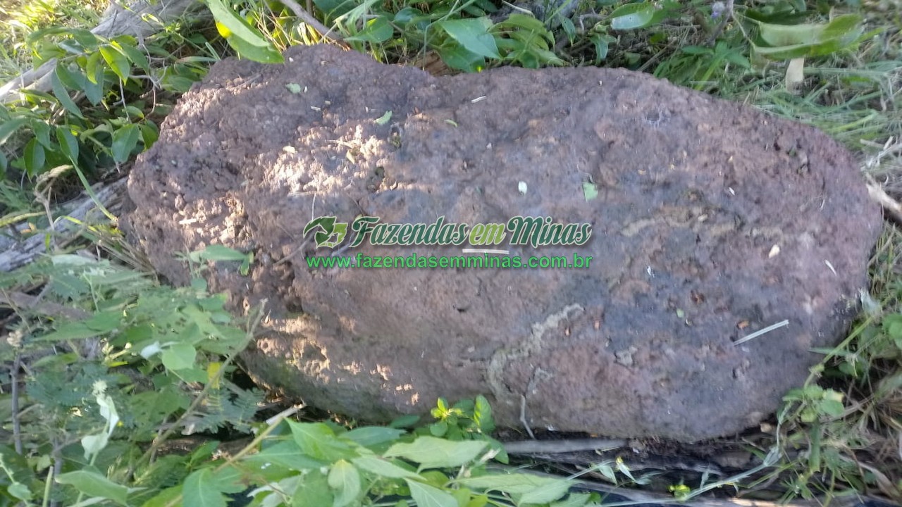 Cód.564         R$ 12.000.000,00