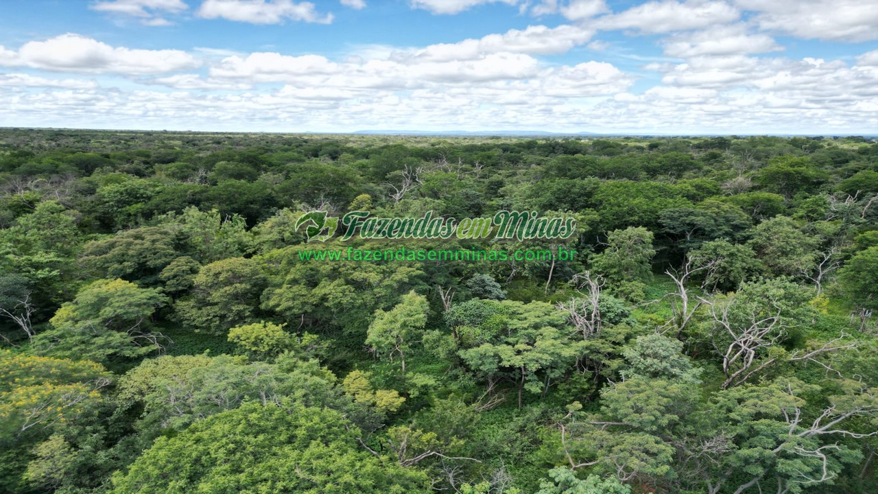 Cód.569      R$ 4.600.000,00