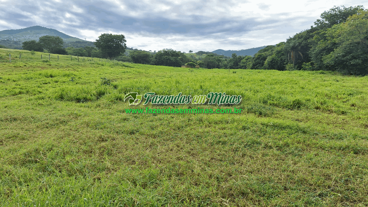 Cód.599       R$ 3.500.000,00