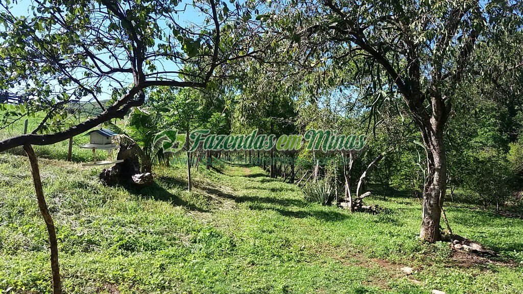 Fazenda 20 km do asfalto 