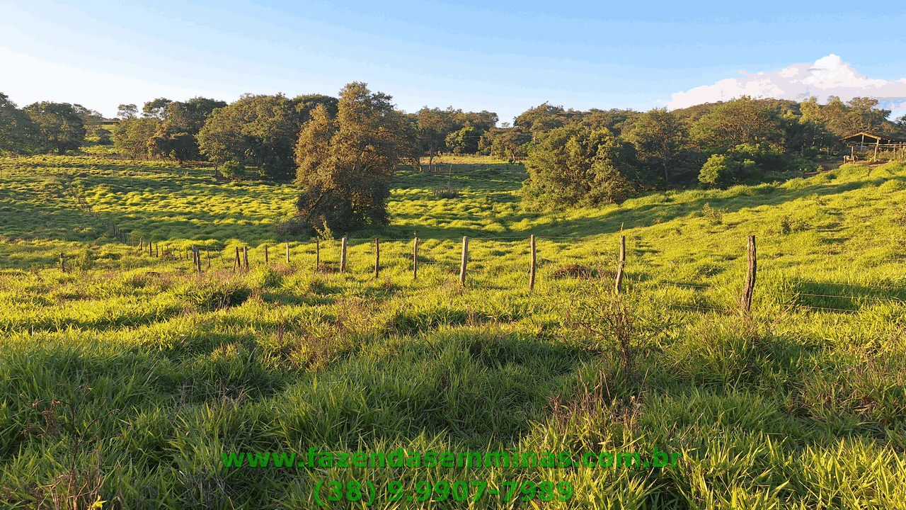Sítio 4 hectares     R$ 600.000,00