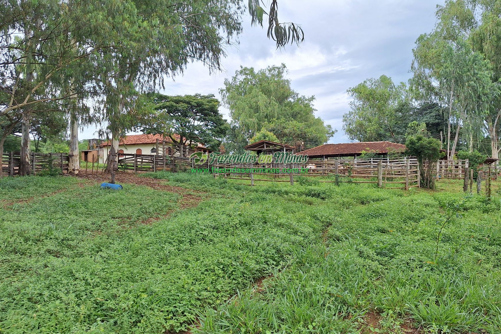 Cód.436               R$ 8.000.000,00