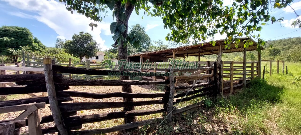 Cód. 479       R$ 900.000,00