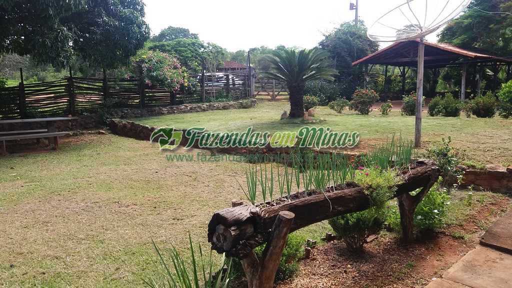 Fazenda  Cód.444  162 Ha  R$ 1.350.000