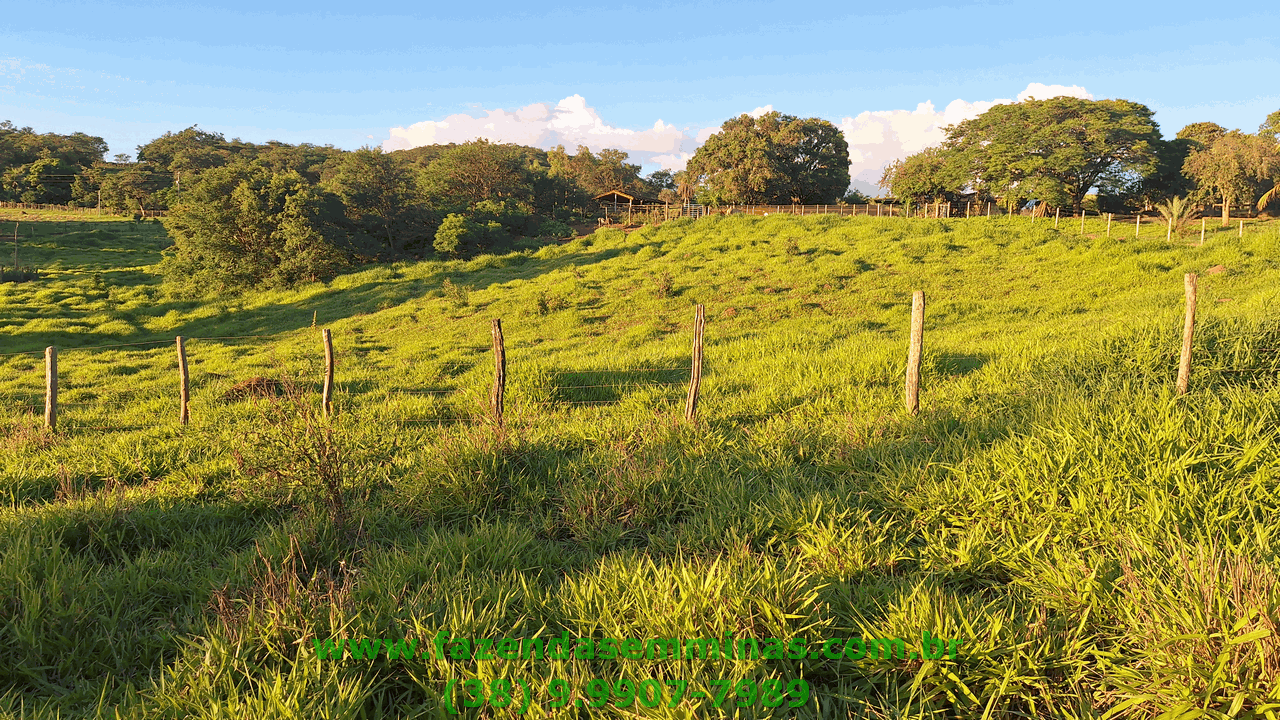 Sítio 4 hectares     R$ 600.000,00