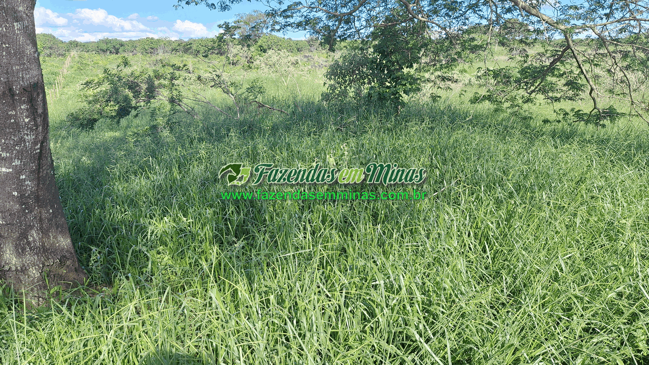 Cód.338         R$ 4.500.000,00