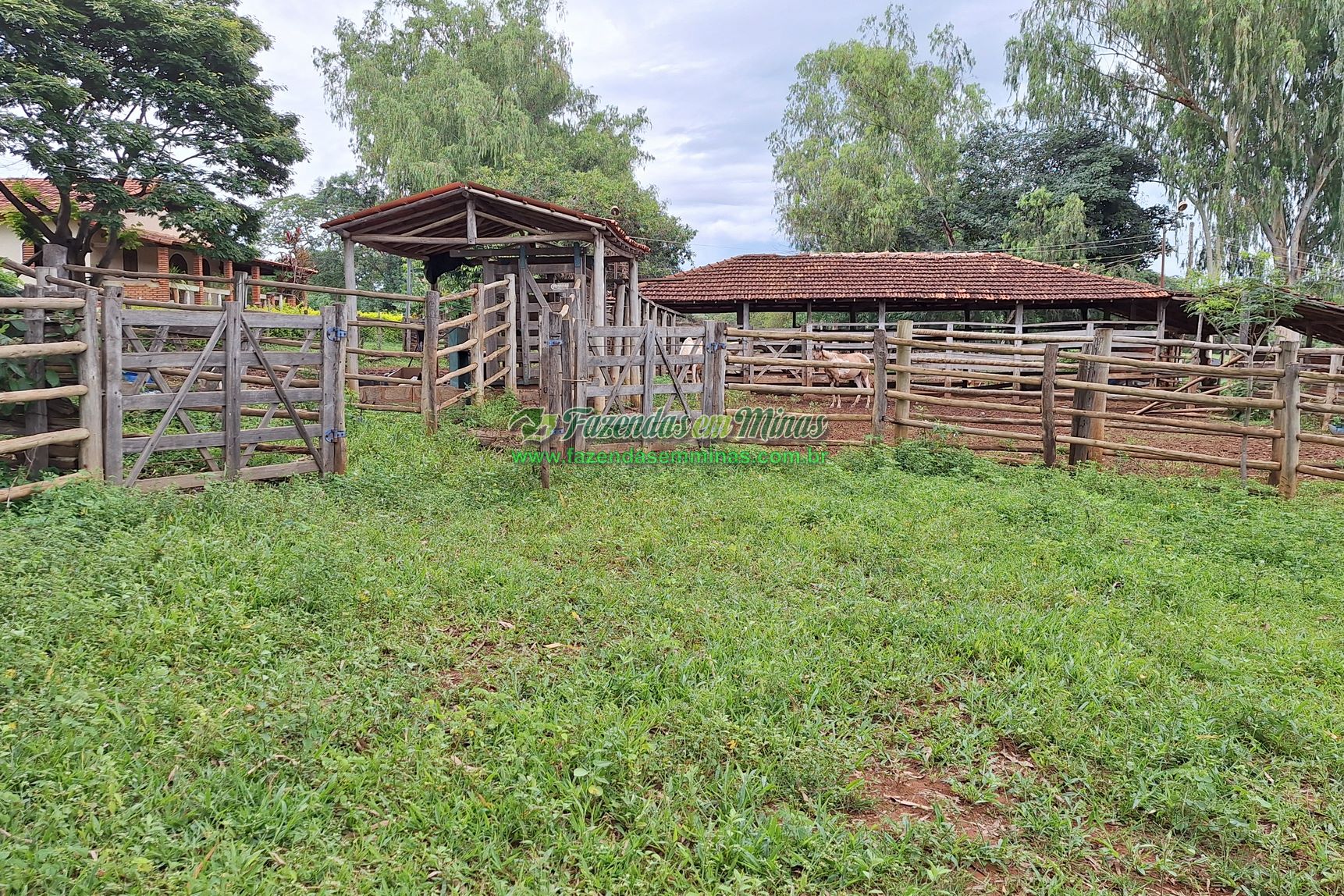 Cód.436               R$ 8.000.000,00