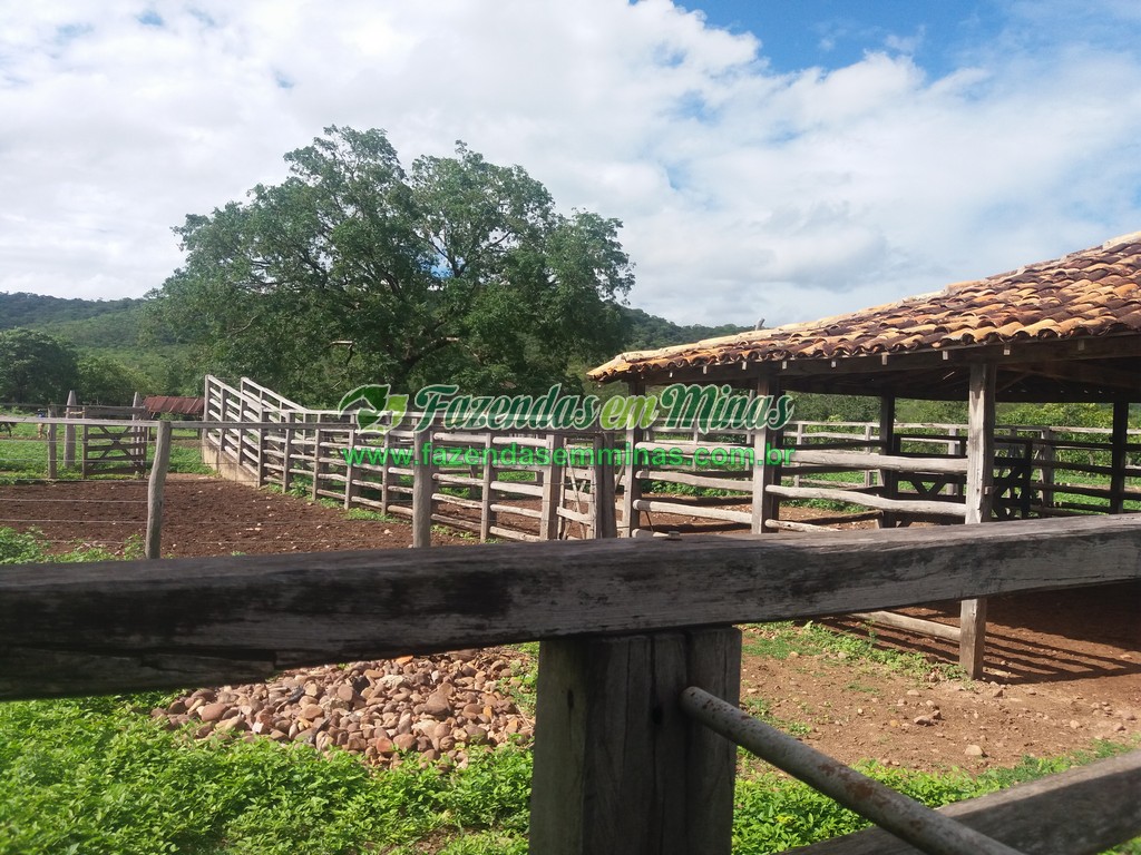 Cód.484       R$ 3.000.000,00