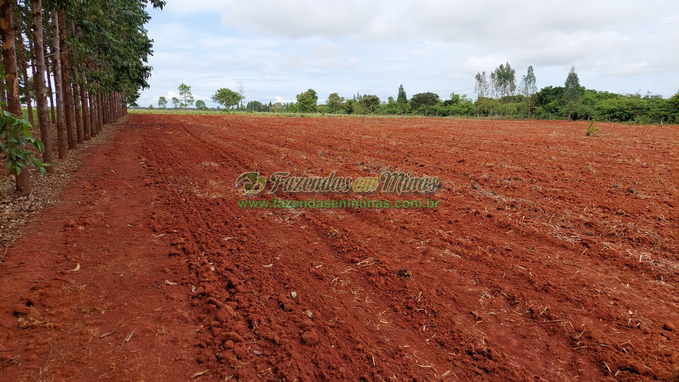 Cod.488 - Francisco Sá      R$ 2.500.000,00  