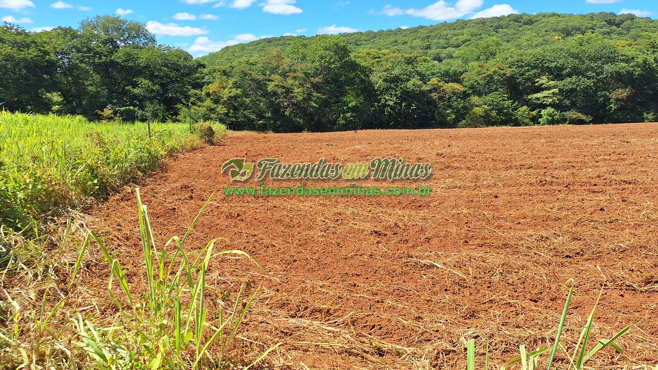 Cód.563               R$ 1.300.000,00 