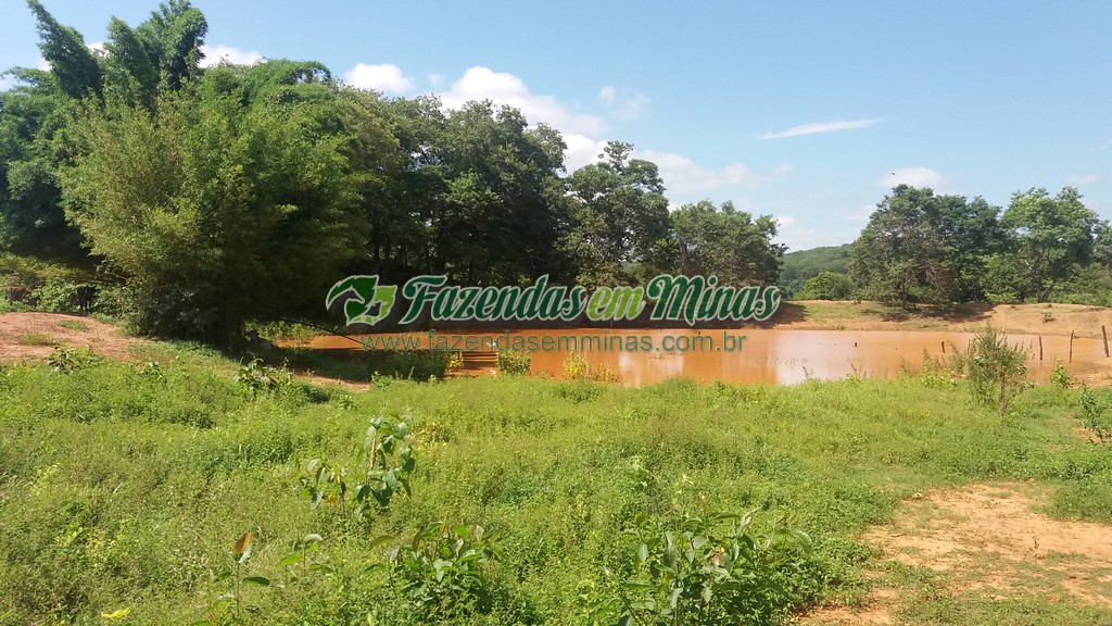 Fazenda  Cód.444  162 Ha  R$ 1.350.000