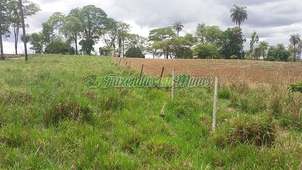 Fazenda município coração de Jesus para pecuária de leite e corte.
