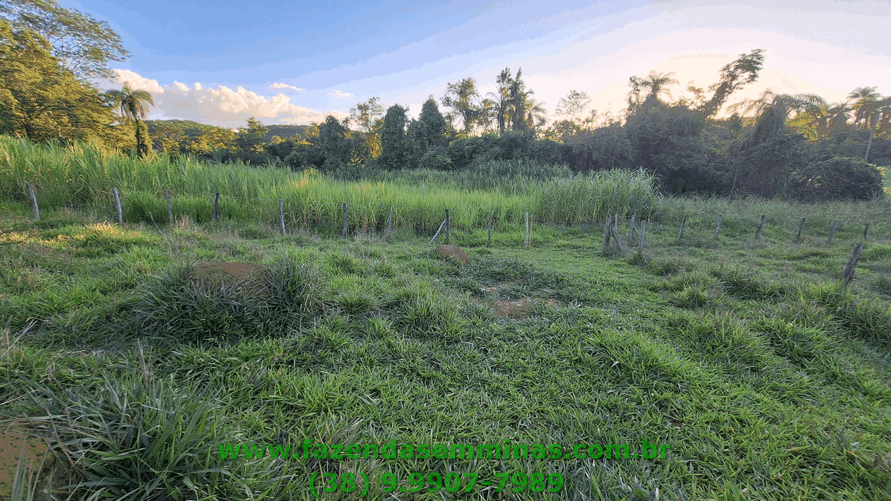 Sítio 4 hectares     R$ 600.000,00
