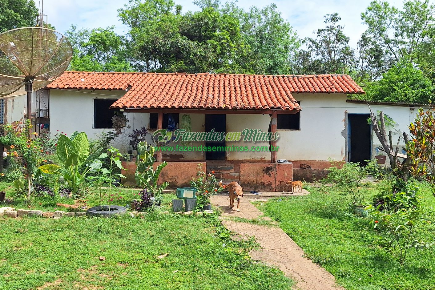 Cód.556      R4 2.400,000,00