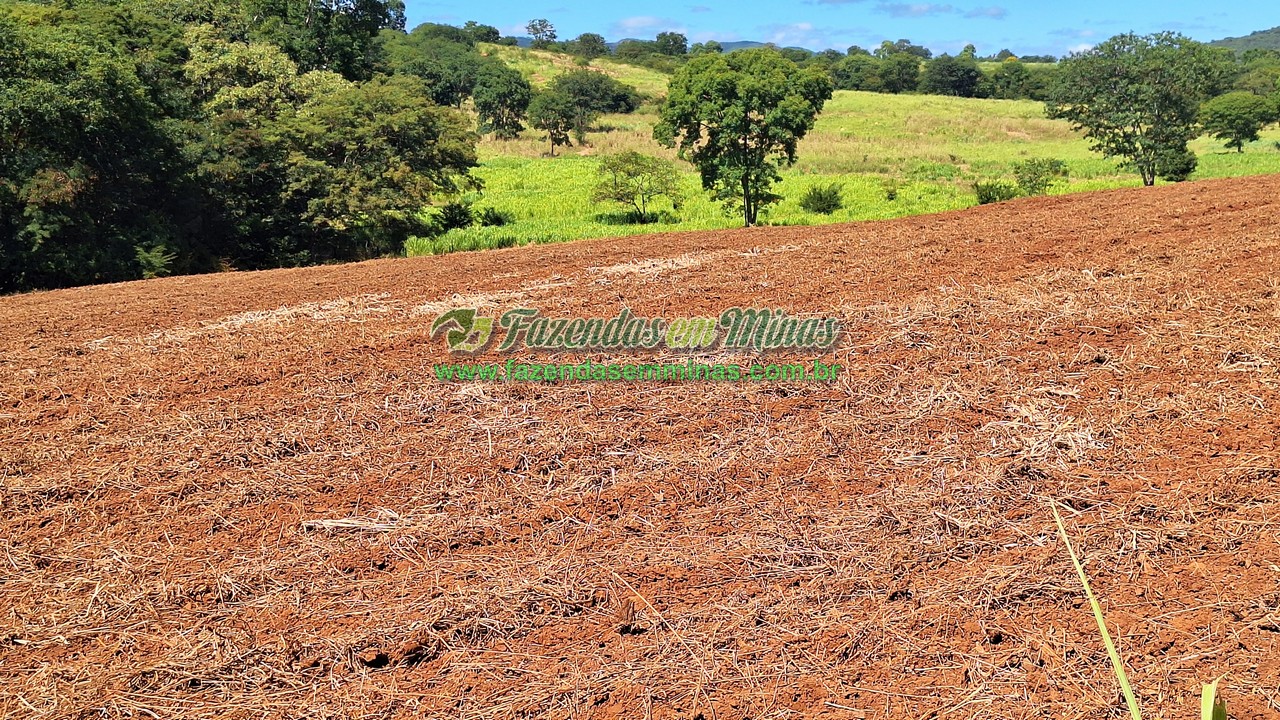 Cód.563               R$ 1.300.000,00 
