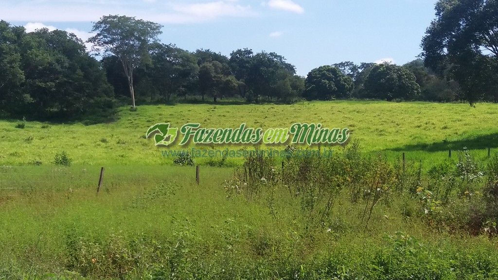 Fazenda  Cód.444  162 Ha  R$ 1.350.000