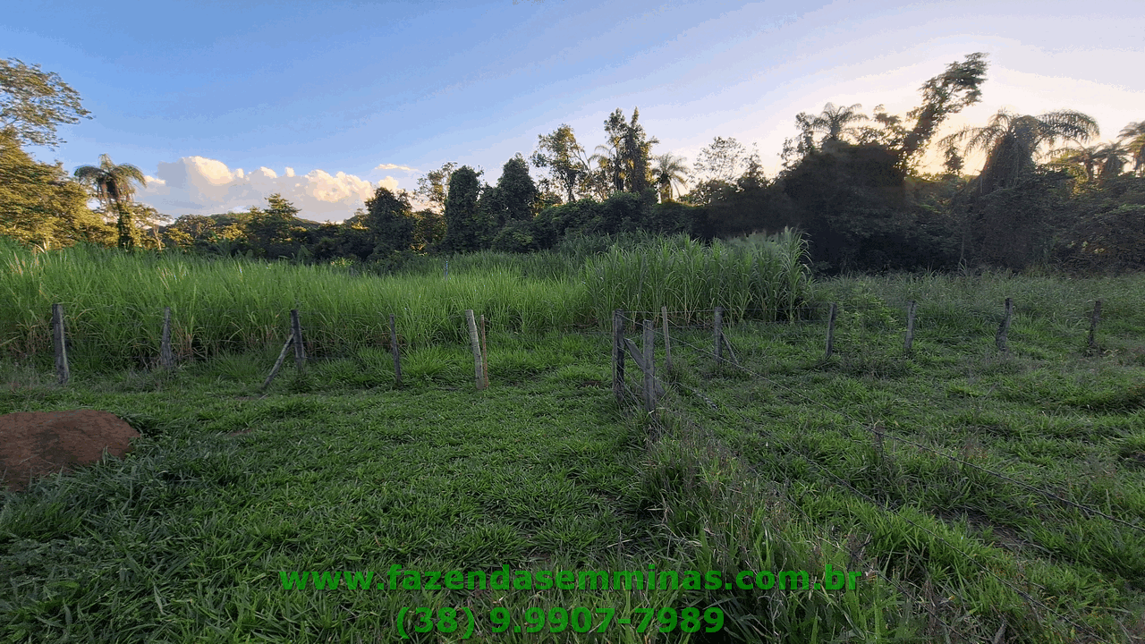 Sítio 4 hectares     R$ 600.000,00