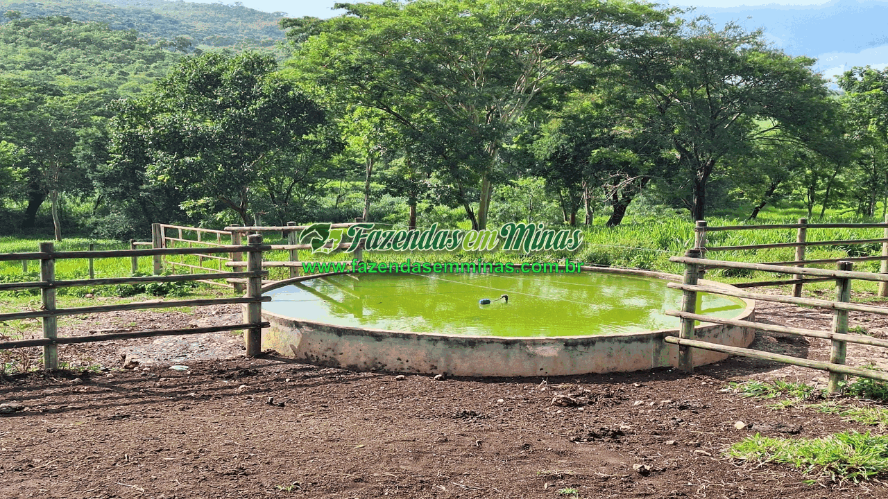 Cód.518       R$ 8.500.000,00