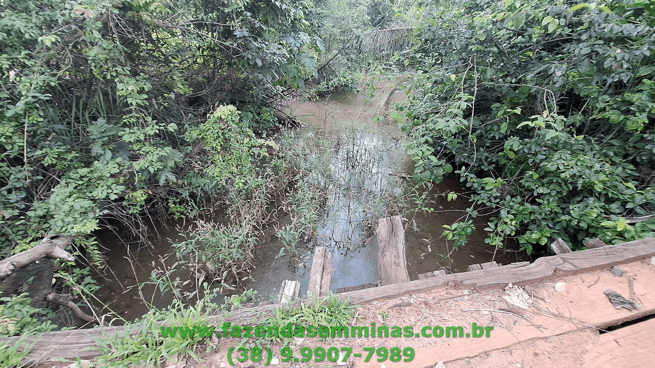 Sítio 4 hectares     R$ 600.000,00