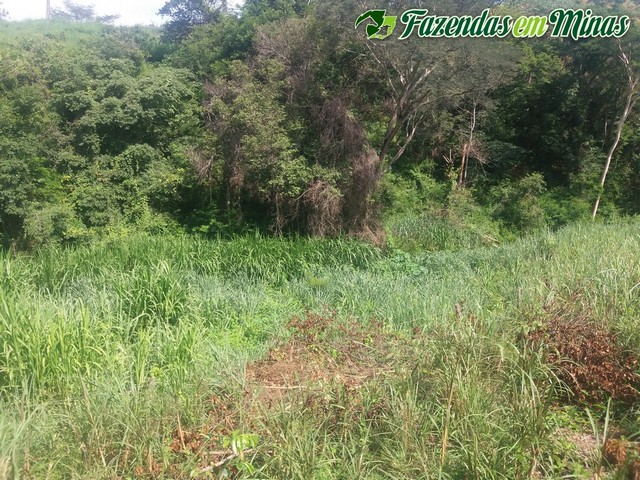 Fazenda para pecuária  e lazer.