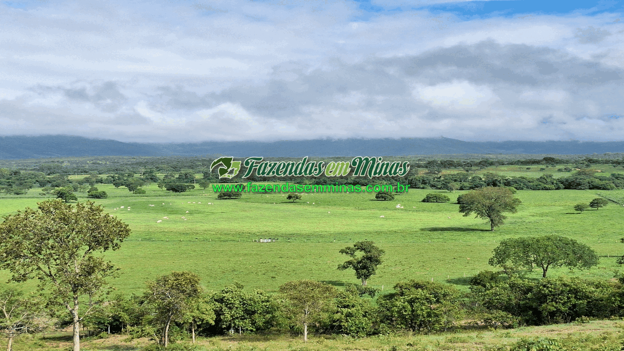 Cód.518       R$ 8.500.000,00