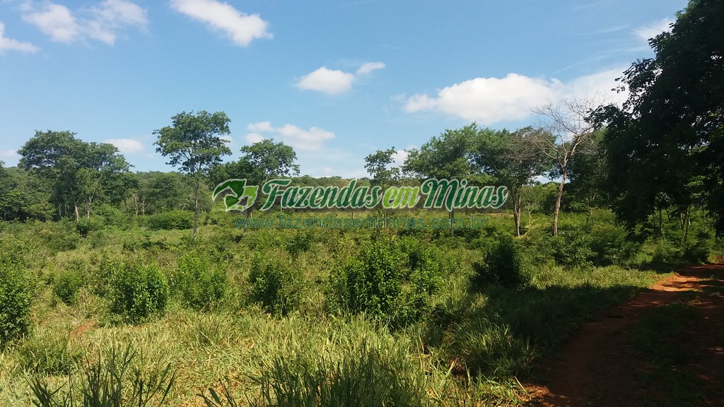 Fazenda  Cód.444  162 Ha  R$ 1.350.000