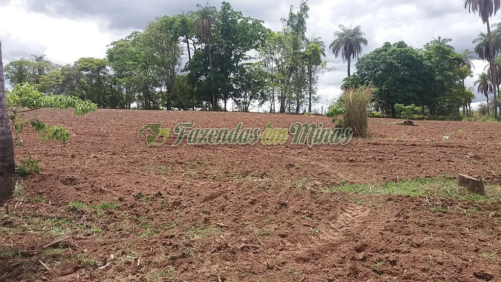 Fazenda município coração de Jesus para pecuária de leite e corte.