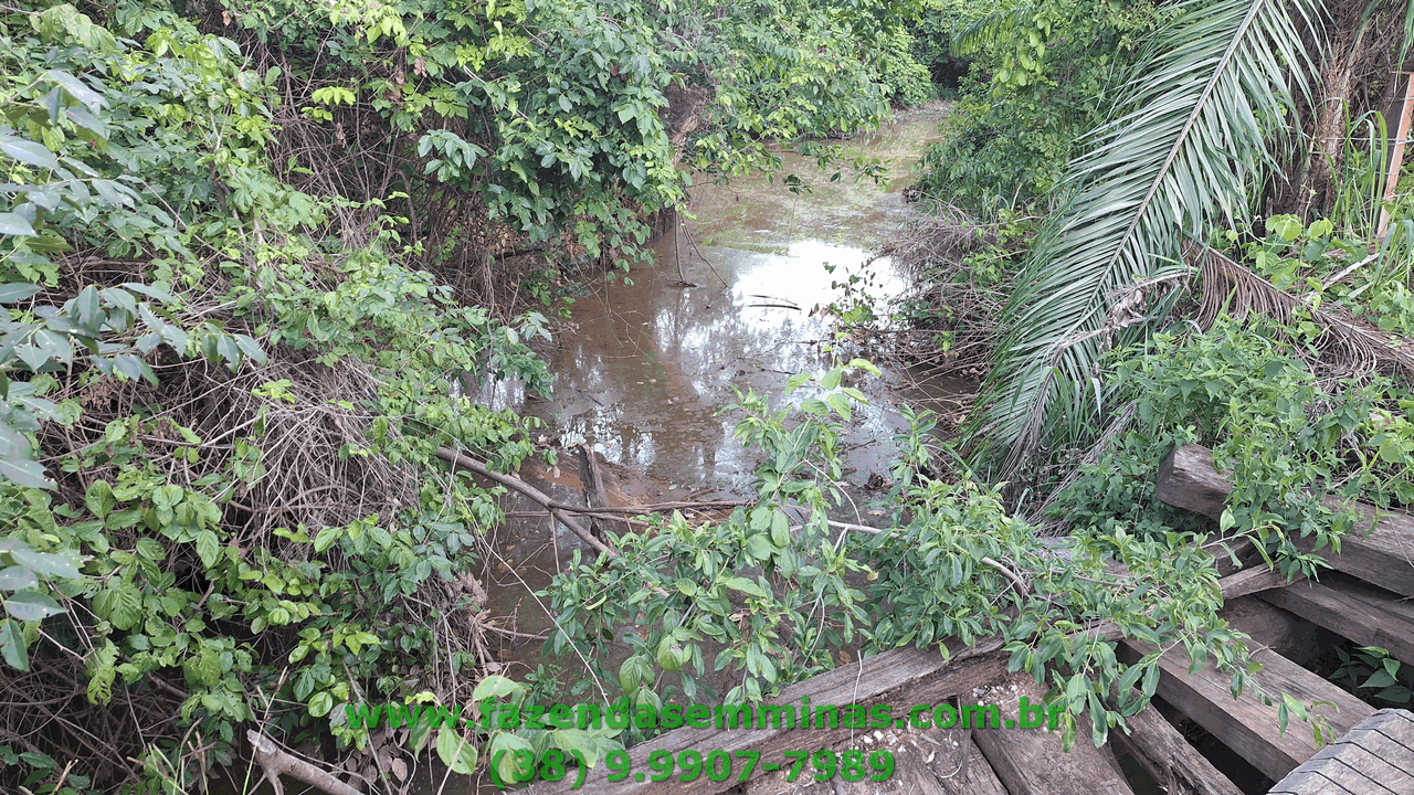 Sítio 4 hectares     R$ 600.000,00