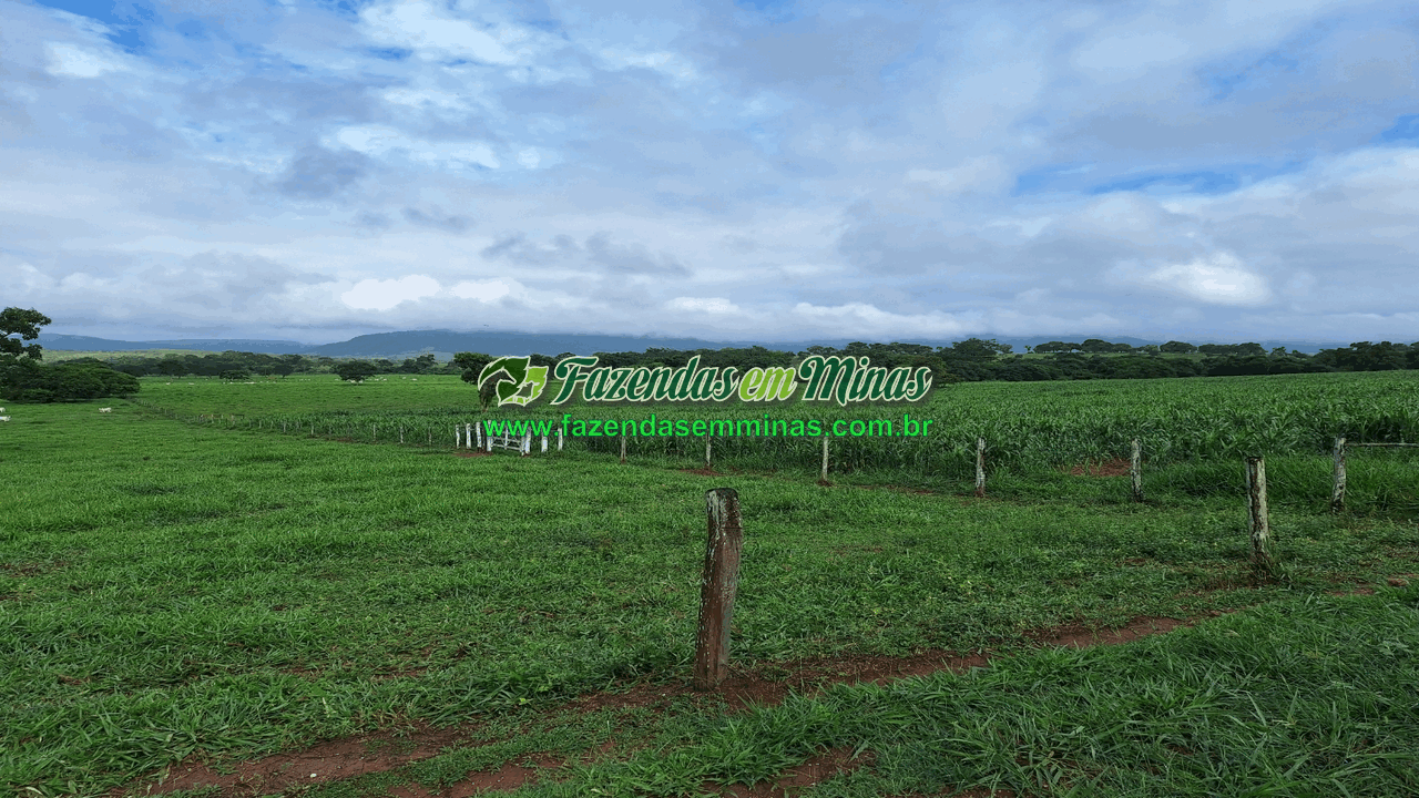 Cód.518       R$ 8.500.000,00