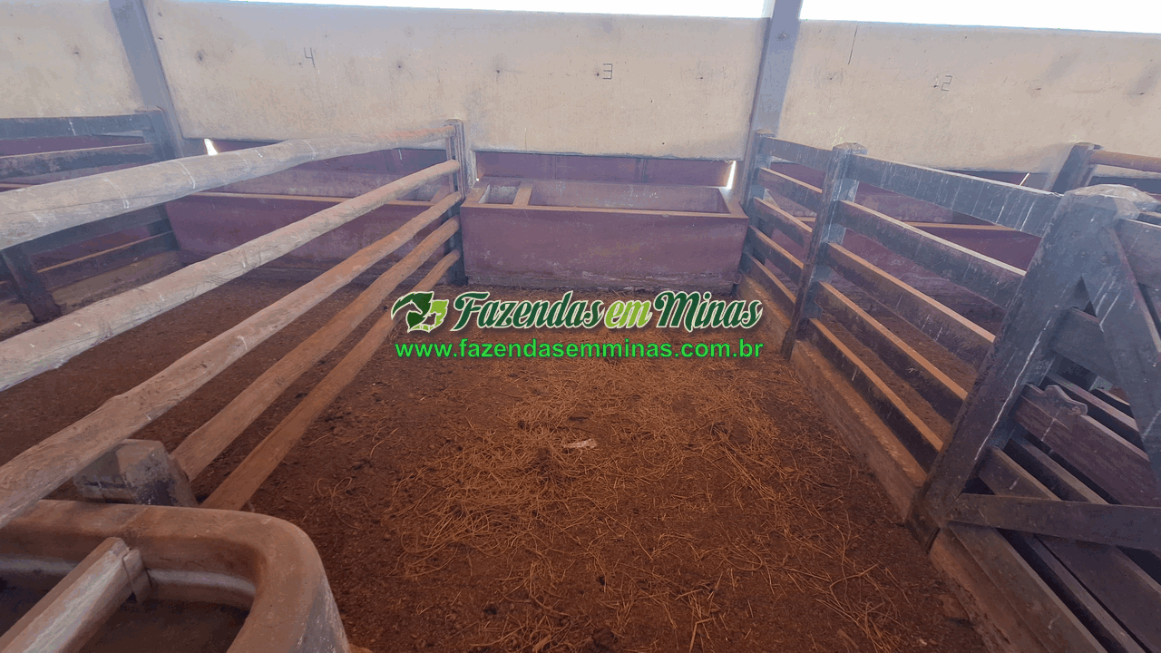 Cód.584      R$ 100.000.000,00
