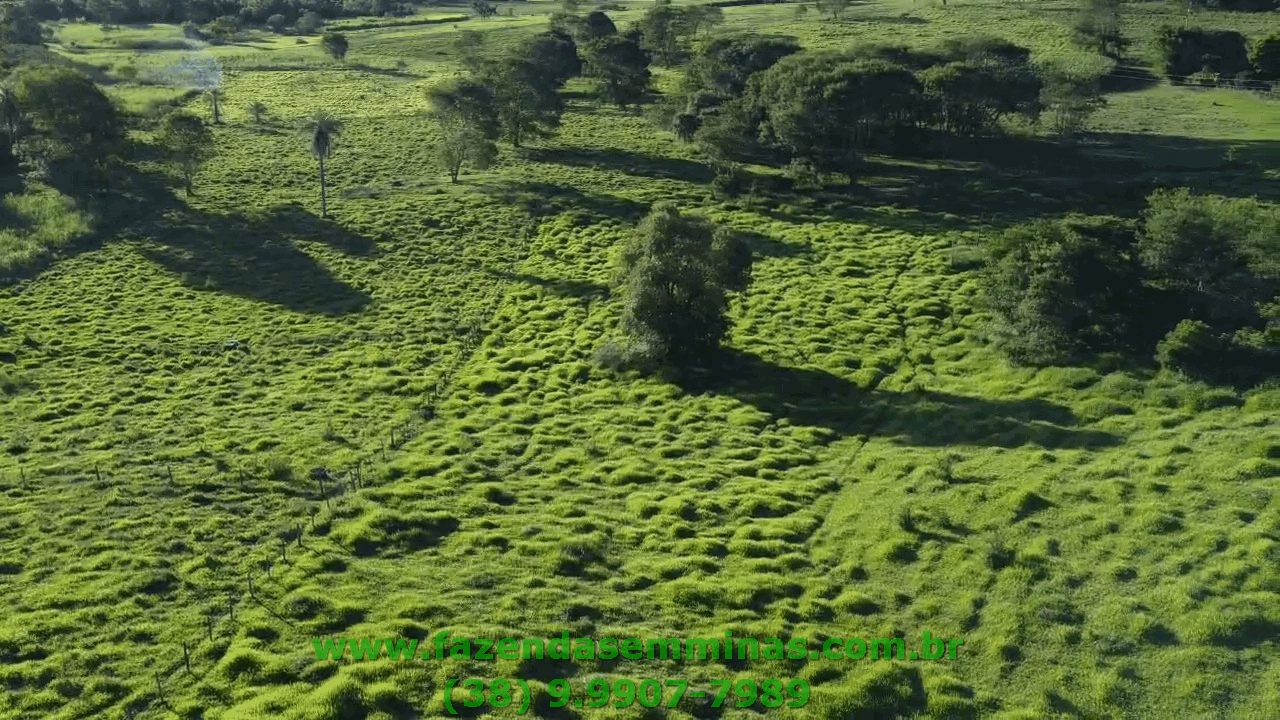 Sítio 4 hectares     R$ 600.000,00