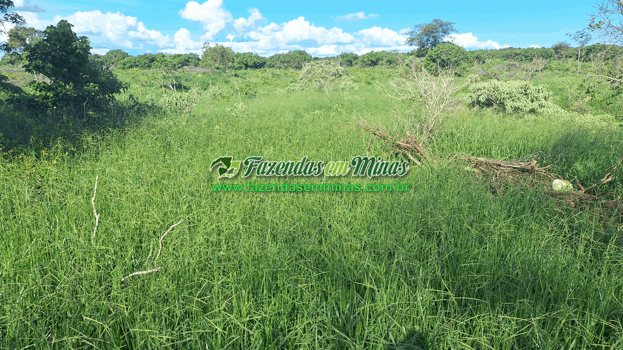 Cód.338         R$ 4.500.000,00