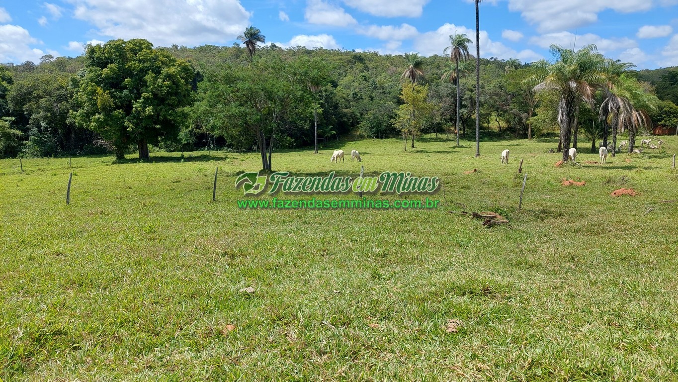 Cód 494          R$ 5.200.000,00