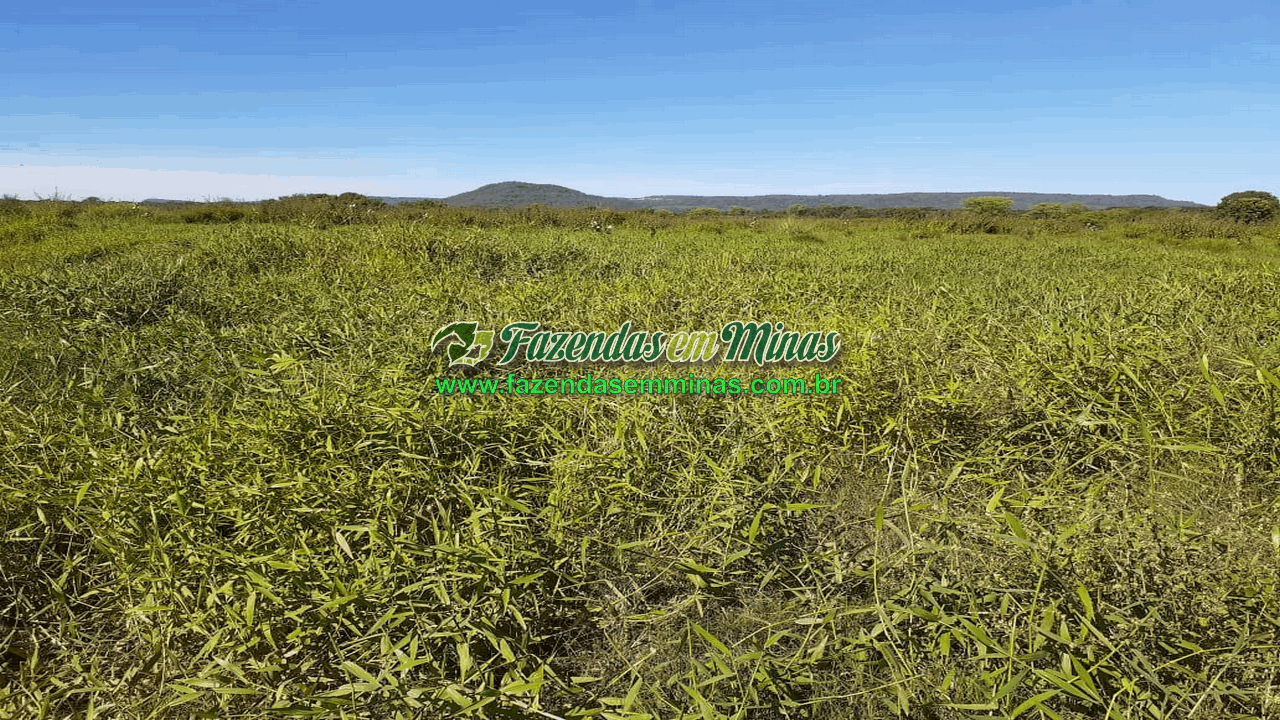Cód.600         R$65.000.000,00