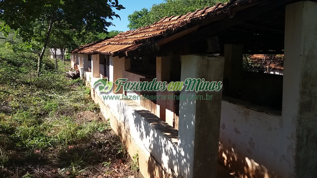 Fazenda 20 km do asfalto 