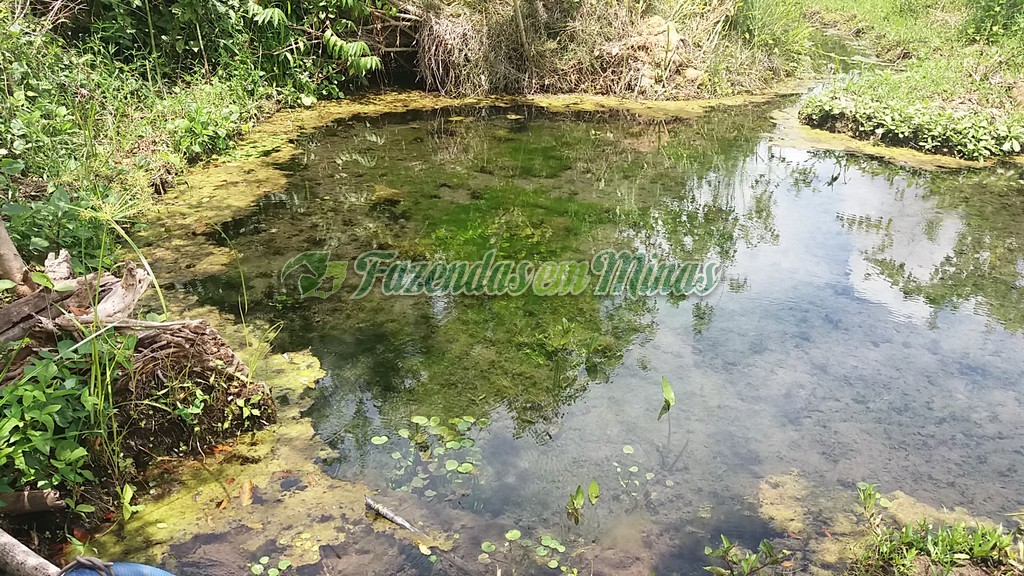 Fazenda município coração de Jesus para pecuária de leite e corte.