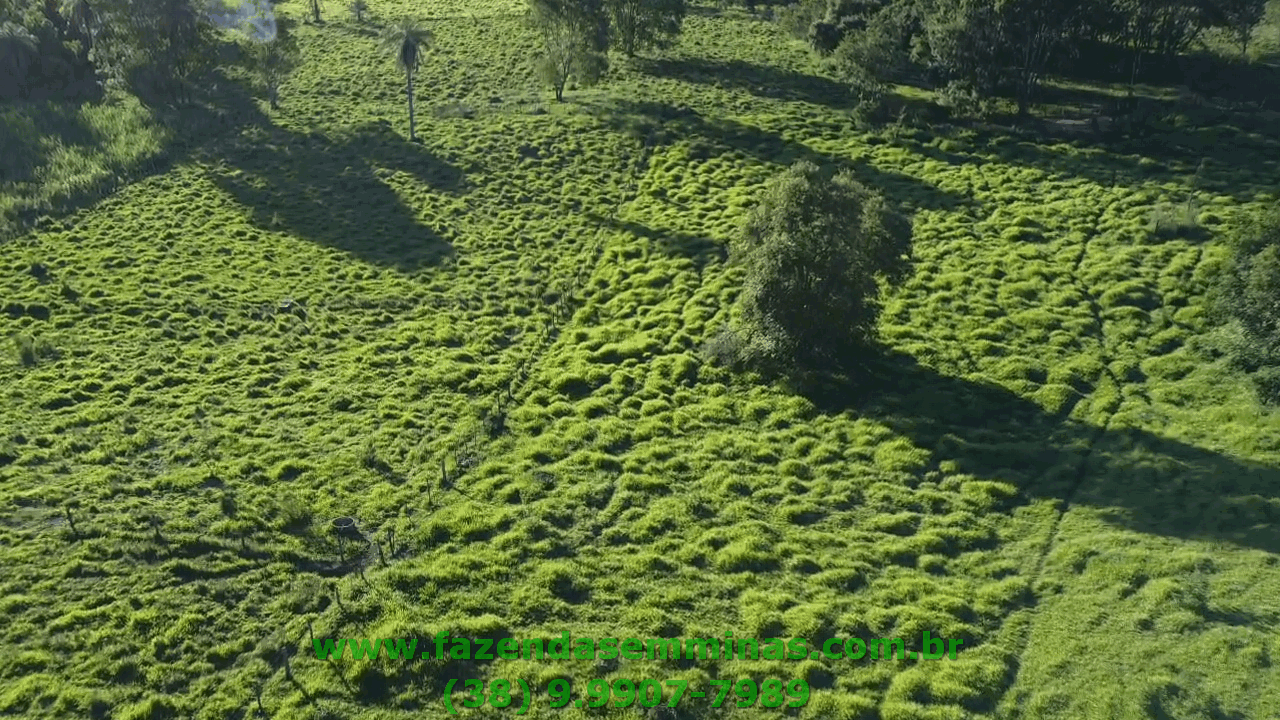 Sítio 4 hectares     R$ 600.000,00