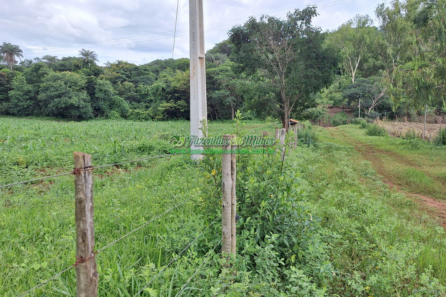 Cód.436               R$ 8.000.000,00