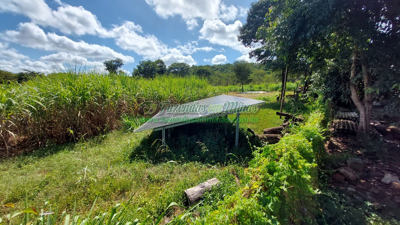 Cód. 493   R$ 1.450.000,00