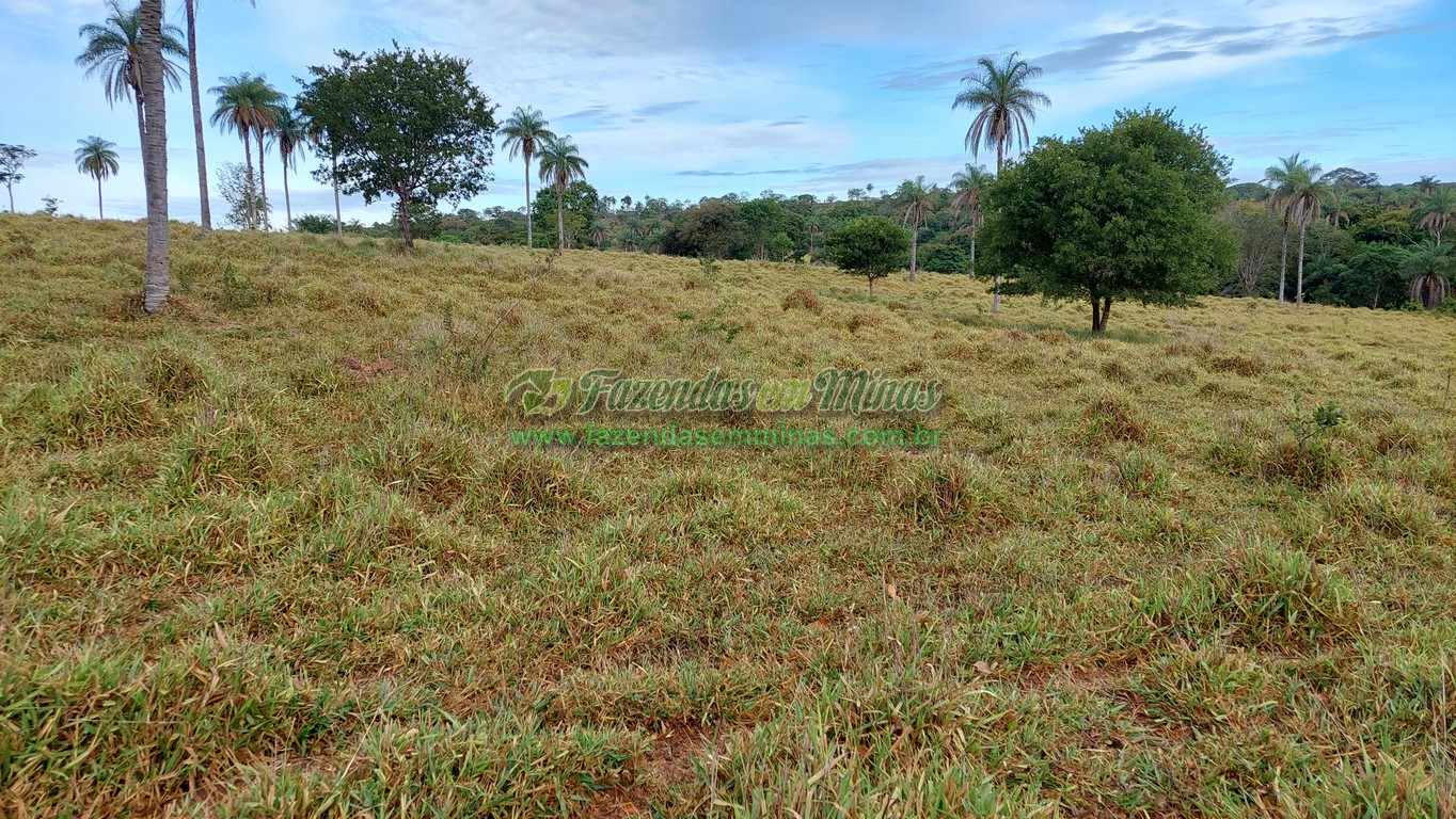 Cód. 495     R$ 1.800.000,00